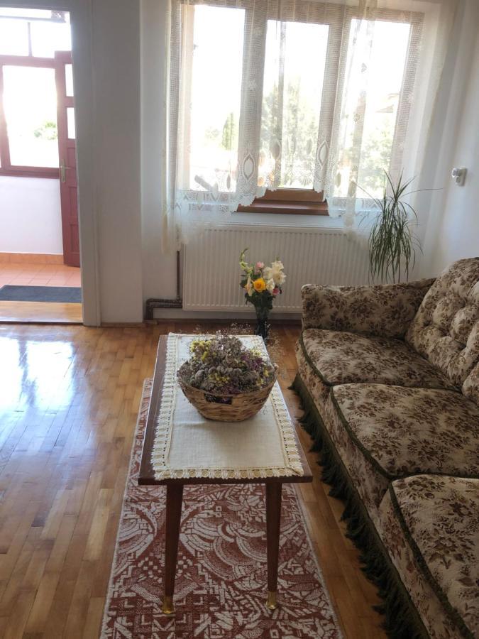 Doi Bujori Apartment Alba Iulia Exterior photo