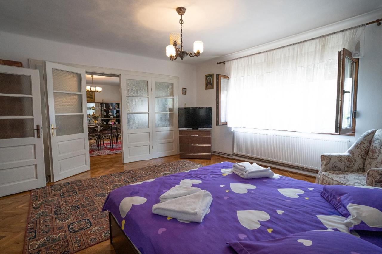 Doi Bujori Apartment Alba Iulia Exterior photo