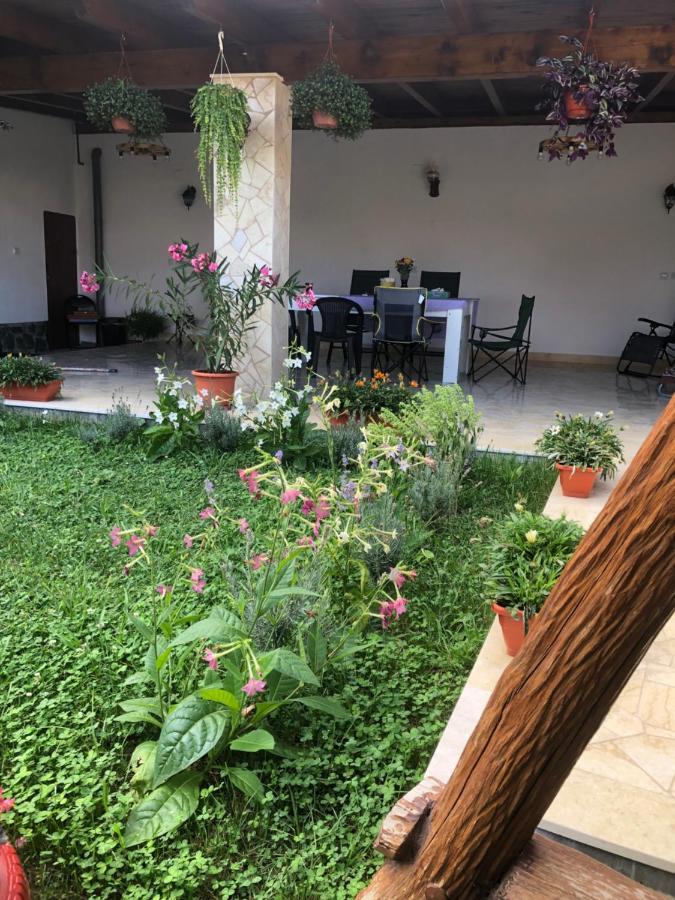 Doi Bujori Apartment Alba Iulia Exterior photo