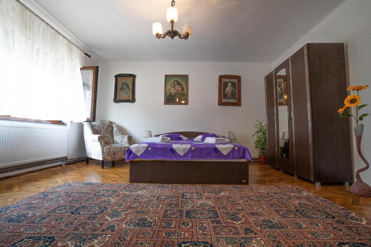 Doi Bujori Apartment Alba Iulia Exterior photo